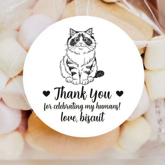 Pegatinas personalizadas de gato Ragdoll para rega (Subido por el creador)