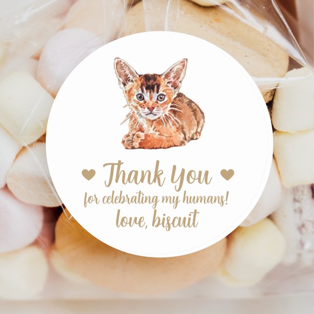 Pegatinas personalizadas para bodas con gatos (Subido por el creador)