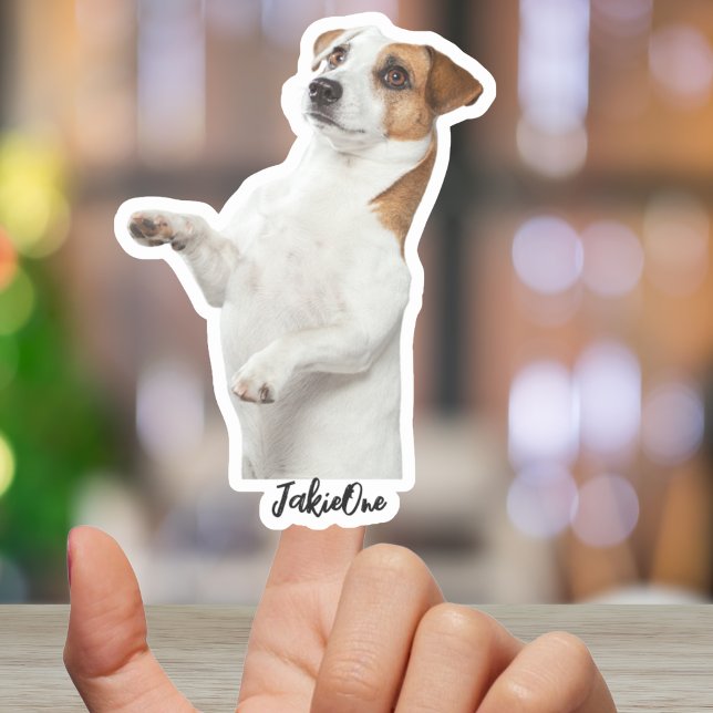Pegatinas personalizadas para mascotas – Calcomaní (Custom Pet Stickers – Dog & Cat Photo Vinyl Decals)