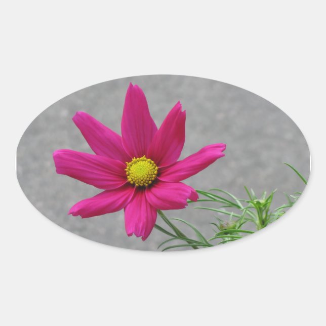 Pegatinas personalizados de flores rosadas (Anverso)