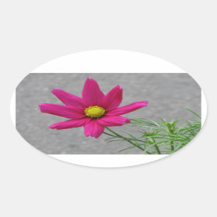 Pegatinas personalizados de flores rosadas