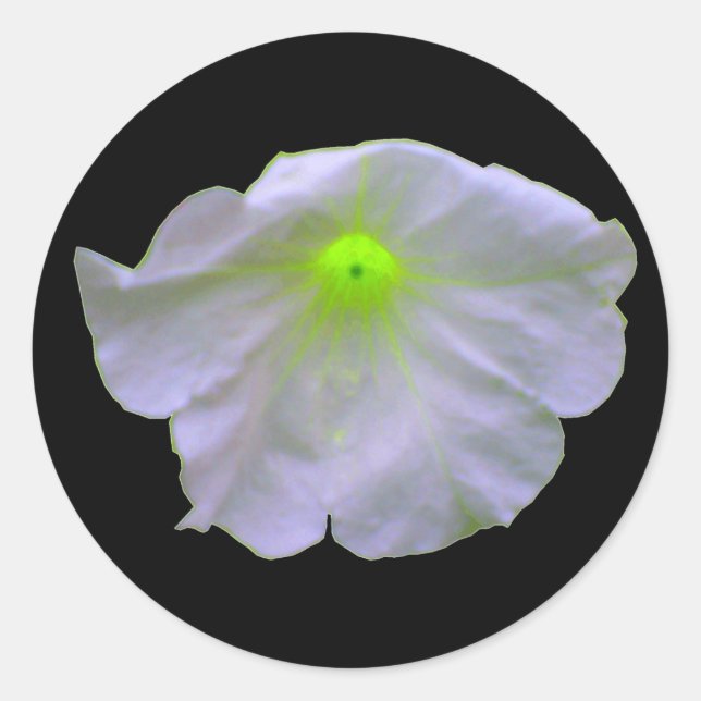 Pegatinas Petunia Green Glow (Anverso)