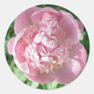 Pegatinas Pink Peony