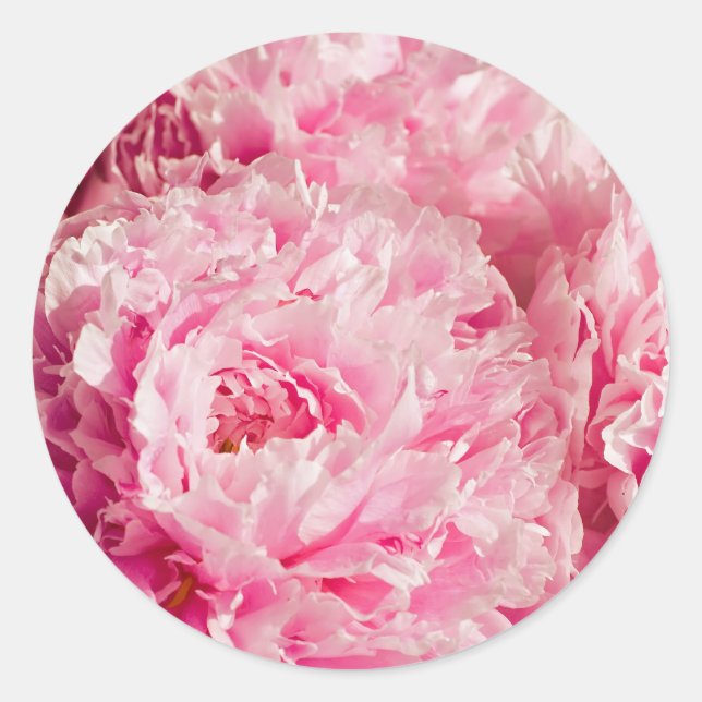 Pegatinas Pink Peony (Anverso)