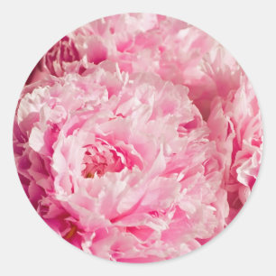 Pegatinas Pink Peony