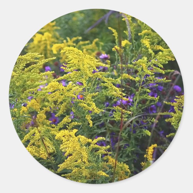 Pegatinas - Prairie Wildflowers (Anverso)