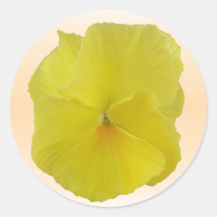 Pegatinas - Puro Lemon Pansy