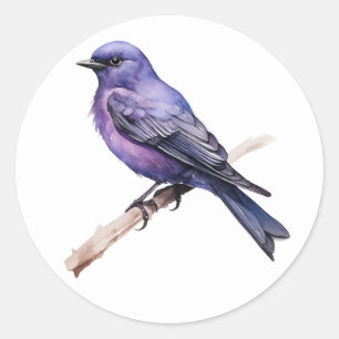 Pegatinas Purple Martin Songbird