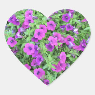 Pegatinas púrpuras de las petunias - sistema de 2