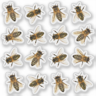 Pegatinas Realistas De Honeybee Beekeeper