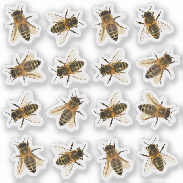 Pegatinas Realistas De Honeybee Beekeeper (Anverso)