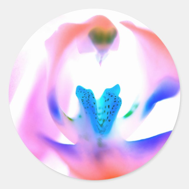 Pegatinas redondos clásicos de orquídeas rosas (Anverso)