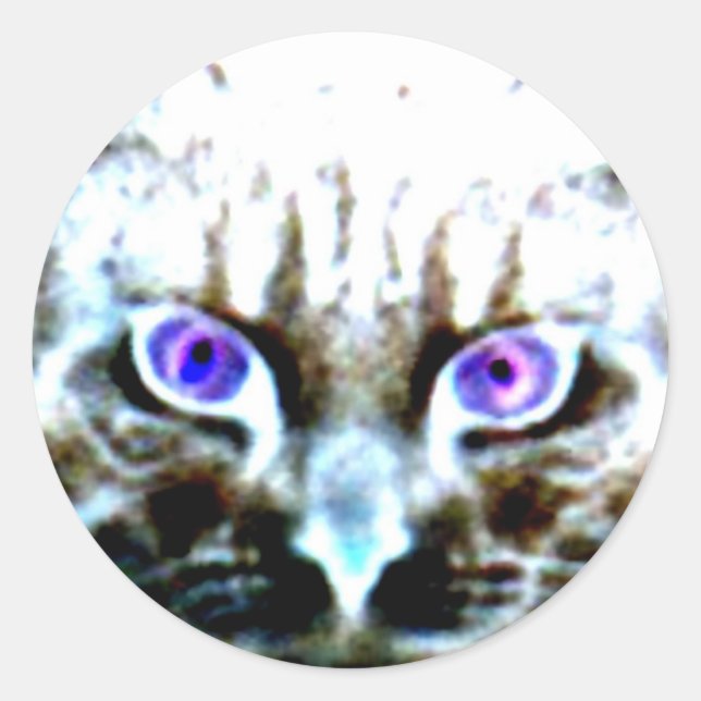 Pegatinas redondos con problemas (Anverso)