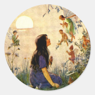 Pegatinas redondos de Fairy Secrets