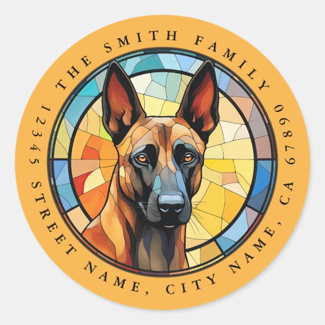 Pegatinas redondos de Malinois de Bélgica (Anverso)