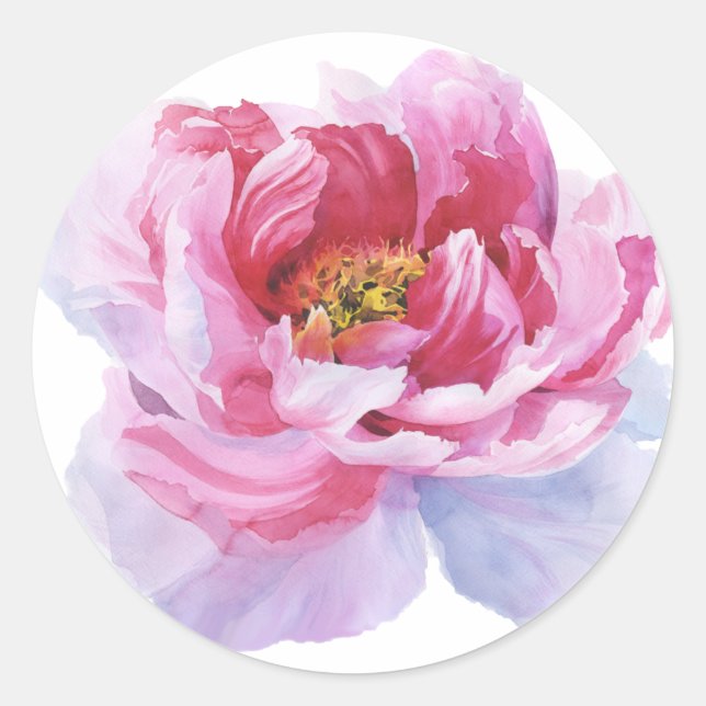 Pegatinas redondos de peones rosados (Anverso)