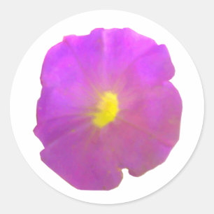 Pegatinas redondos de Purple Petunia