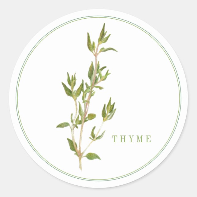 PEGATINAS redondos grandes de THYME FRESCOS (Anverso)