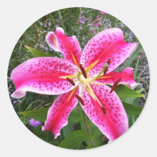 Pegatinas redondos - Stargazer Lily