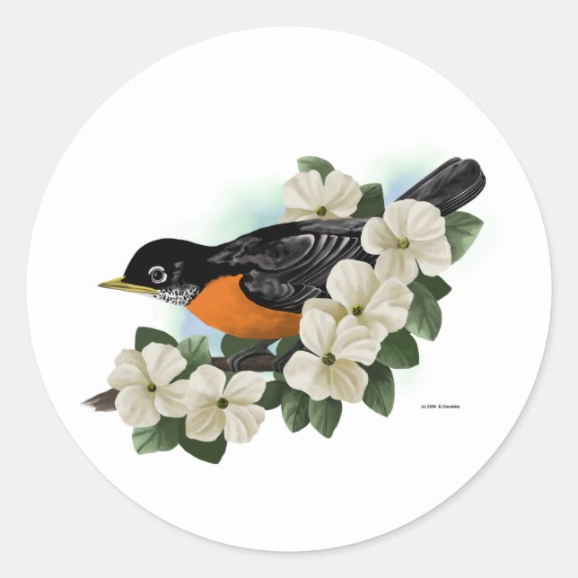 Pegatinas Robin (Anverso)