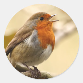 Pegatinas Robin