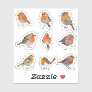 Pegatinas Robin