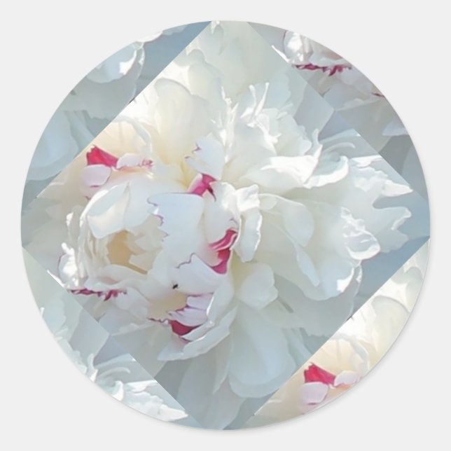 Pegatinas Romantic Multi Peony (Anverso)