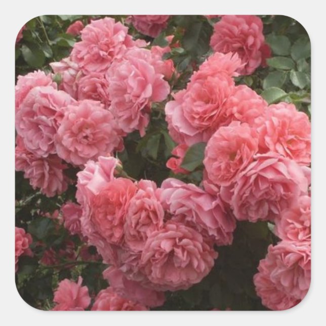 Pegatinas Rosa Floral (Anverso)