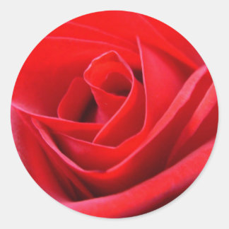 Pegatinas Rosa Rojo Regalos Rosa Rosa Rosa Rosa Ro