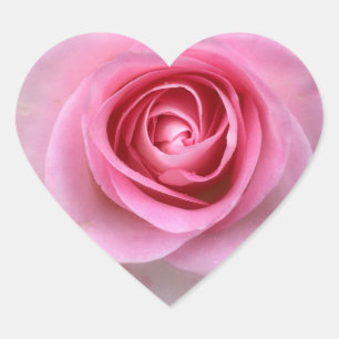 Pegatinas Rosa Rose Heart