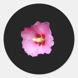 Pegatinas rosados de Hibiscus