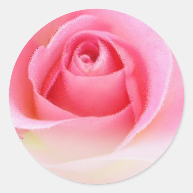 Pegatinas rosados de rosebud (Anverso)