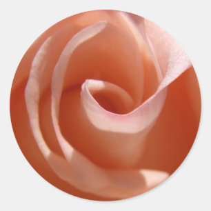 Pegatinas Rosas