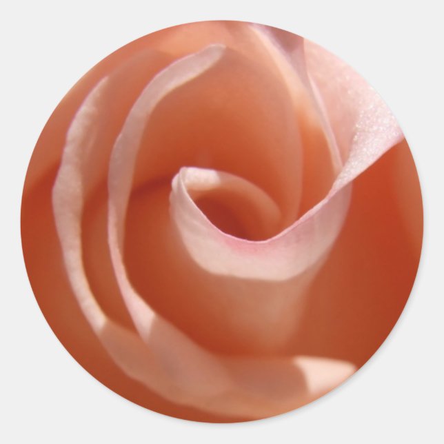 Pegatinas Rosas (Anverso)