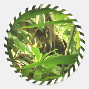 Pegatinas salvajes del Coati