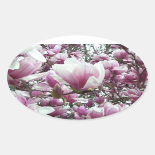 Pegatinas - Saucer Magnolia