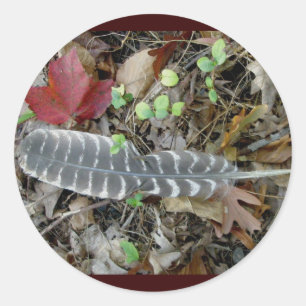 Pegatinas silvestres turcos de plumas