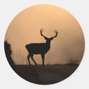 Pegatinas solitarios del Estadio Rojo