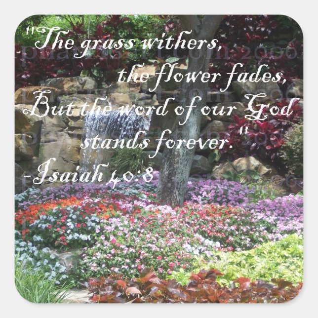 Pegatinas Stands Forever (Anverso)