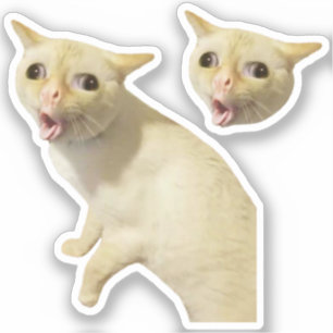 Pegatinas Tosando Meme de Gato