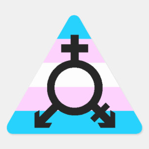 Pegatinas Trans Pride - triángulo con símbolo