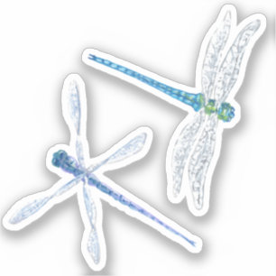 Pegatinas Vinilo de la libélula