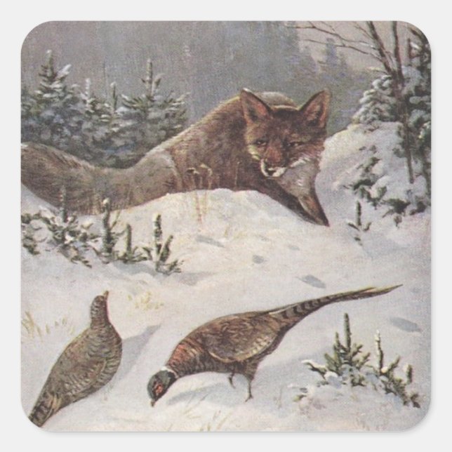 PEGATINAS Wildlife Fox cazando aves faisanas Nieve (Anverso)