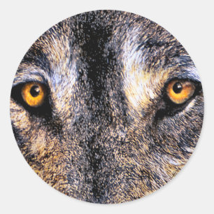 Pegatinas Wolf Eyes