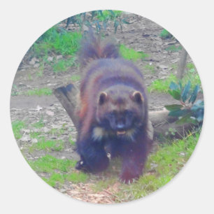 Pegatinas Wolverine #1