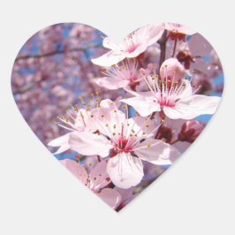 Pegatinas y sellos de flores de cerezo rosadas de
