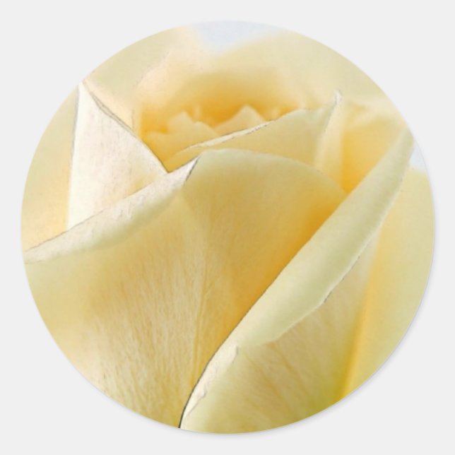 Pegatinas y Sellos para sobres de la Rosa Blanca (Anverso)