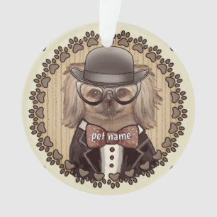 Pekinés con gafas Adorno