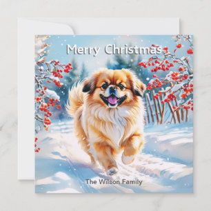 Pekinés en la nieve Navidad Feliz Navidad