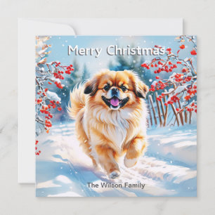 Pekinés en la nieve Navidad Feliz Navidad